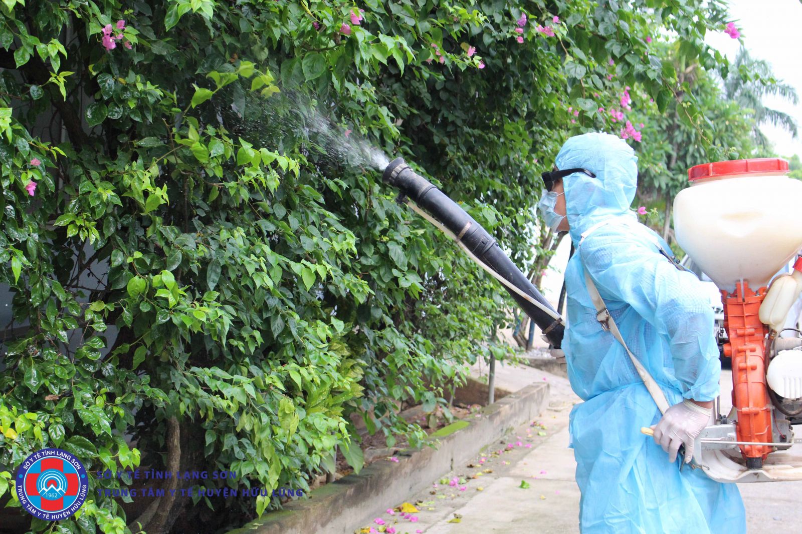 Phun thuốc diệt muỗi để phòng chống dịch sốt xuất huyết